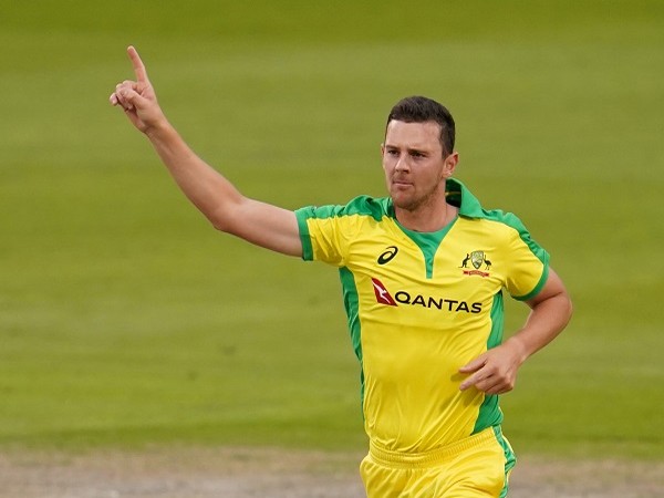 Hazlewood'S Career Defining Moment? (You Won'T Believe This) - oihnh6h